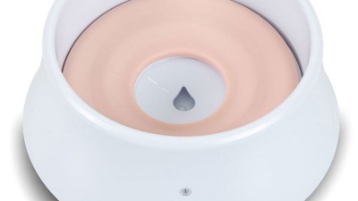 💦 댕냥이 워터생활 UP! 딩동펫 급수기 솔직 후기 (할인정보 팡팡) 🐾